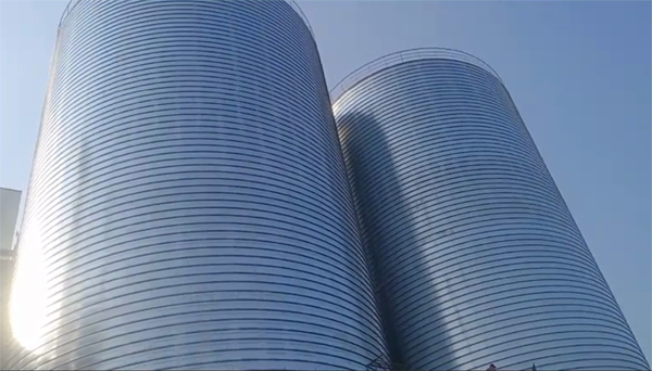 石屏2座混凝土高架卷板仓